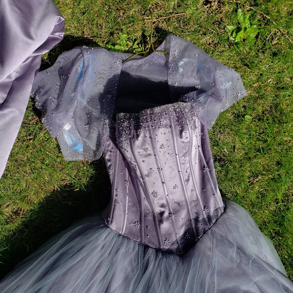 Prom / Grad Dress - Picture 7 of 16